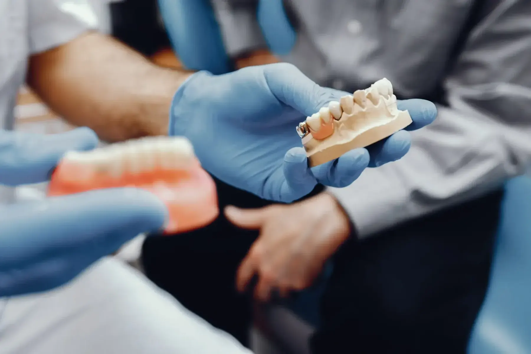 Anatomical jaw model used to explain imaging and implant placement